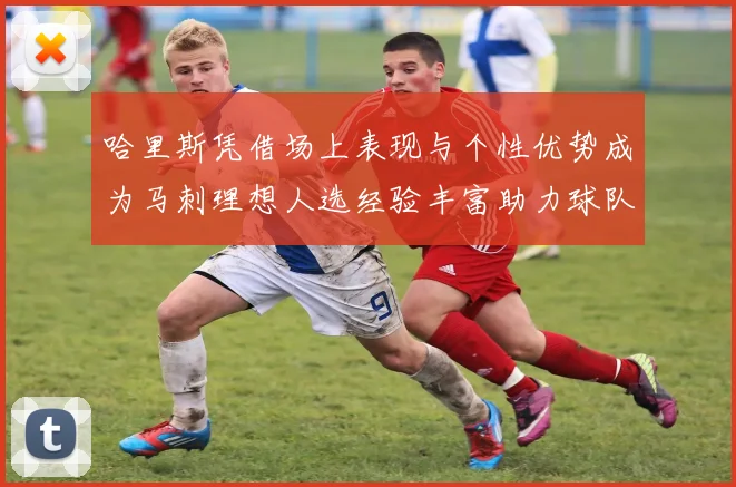 哈里斯凭借场上表现与个性优势成为马刺理想人选经验丰富助力球队发展